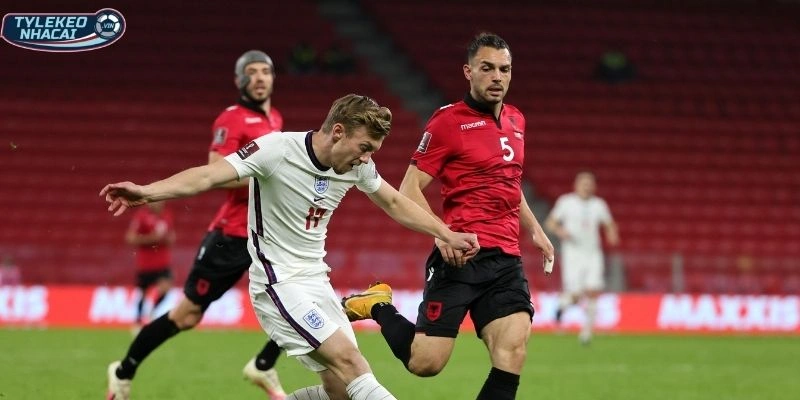 Phong độ Cộng Hòa Séc vs Republic of Ireland