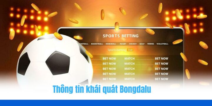 Giới thiệu khái quát về nền tảng Bongdalu
